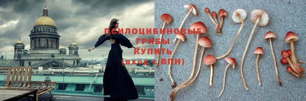 гашишное масло Аркадак