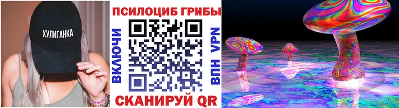 Галлюциногенные грибы Cubensis  магазин продажи   Александров 